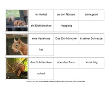 Sätze-bilden-Eichhörnchen 2.pdf